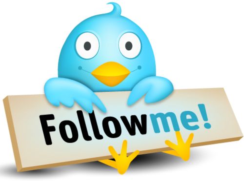 twitter-follow twitter-follow