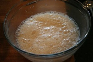 proofing yeast