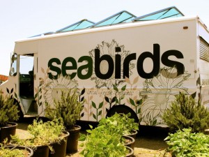 seabirds truck