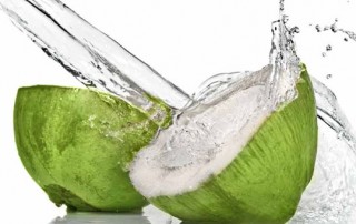 coconut water fun facts
