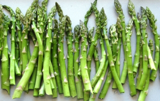 asparagus fun facts