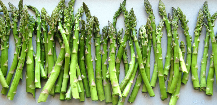 asparagus fun facts