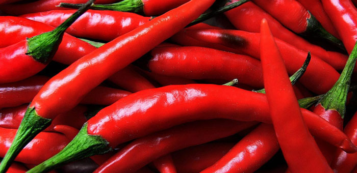 chili pepper fun facts