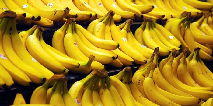 banana fun facts