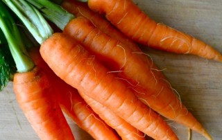 carrot fun facts