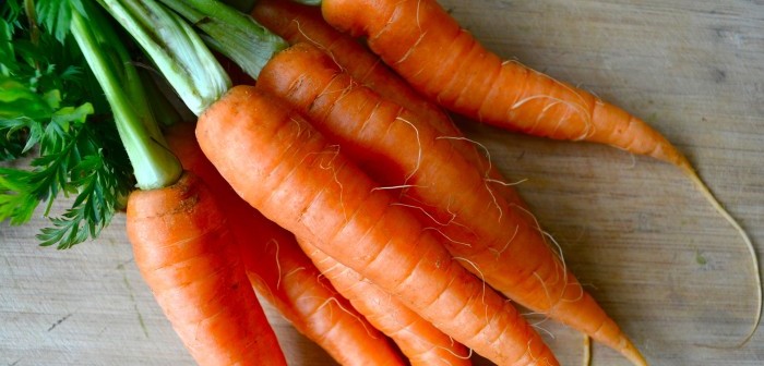 carrot fun facts