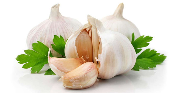 garlic fun facts