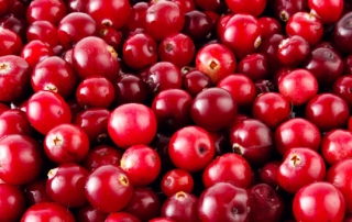 cranberry fun facts