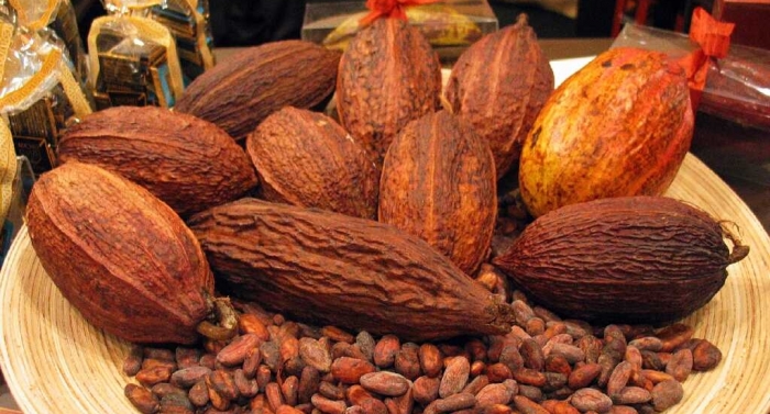 The Impact Of cocoa beans On Your Customers/Followers
