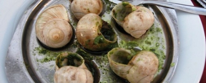 escargot fun facts
