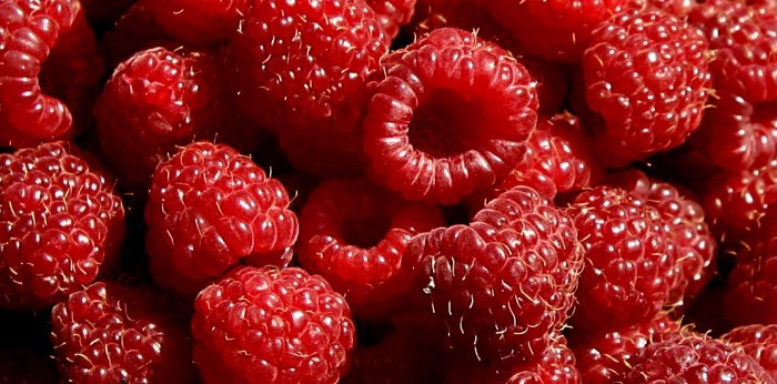 raspberry fun facts