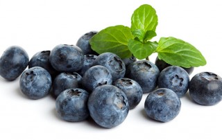 blueberry fun facts