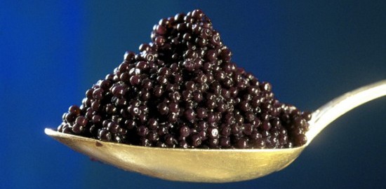 caviar fun facts