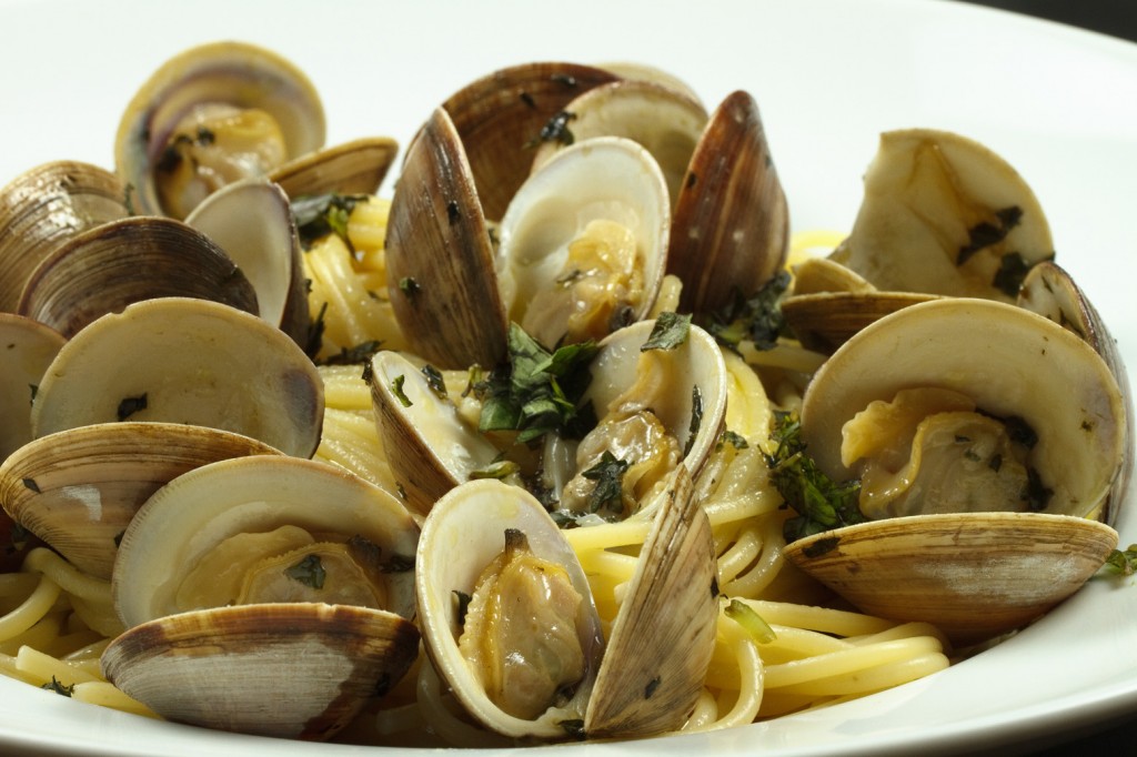 fun facts about clams