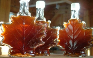 maple syrup fun facts