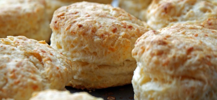 biscuit fun facts