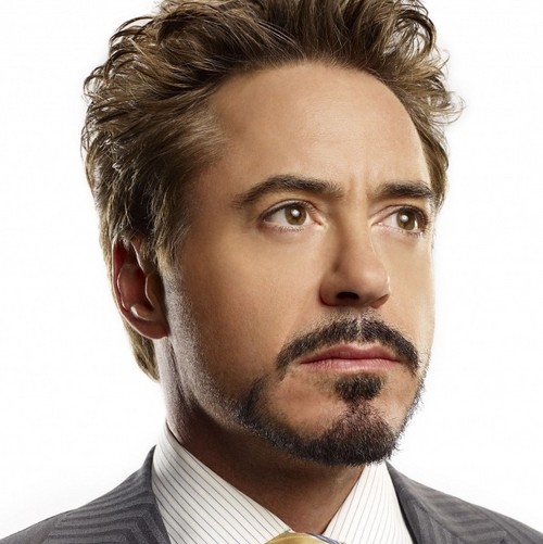 Robert Downey Jr. offers gift to boy who saved his sister from dog attack