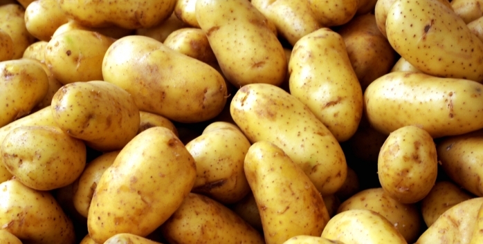 potato fun facts
