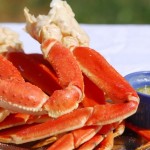 crab fun facts