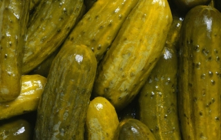 pickle fun facts
