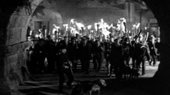 mob with torches