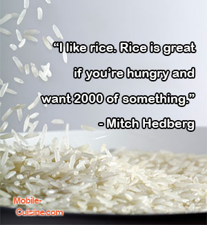 Mitch Hedberg Rice Quote