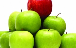 food truck branding tips