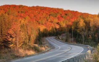 fall food truck menu