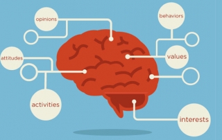 demographics & psychographics