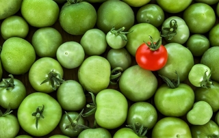 Unique Value Proposition