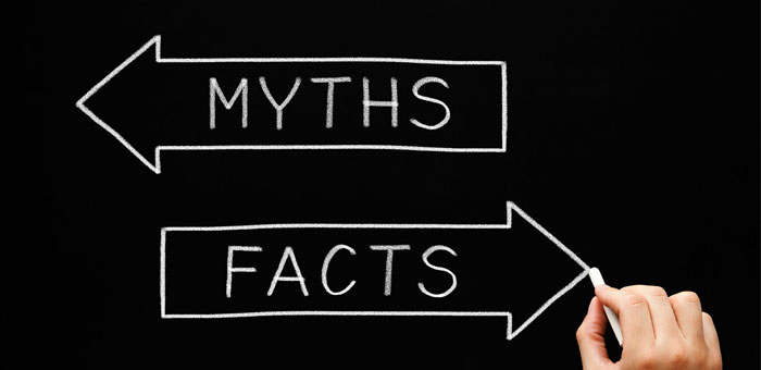 startup myths