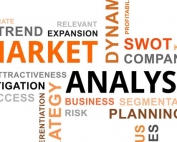 Market Analysis Section