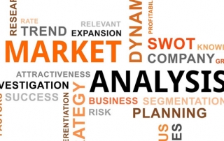 Market Analysis Section
