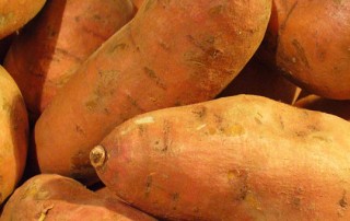 sweet potato fun facts
