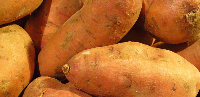 sweet potato fun facts