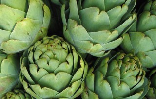 artichoke fun facts