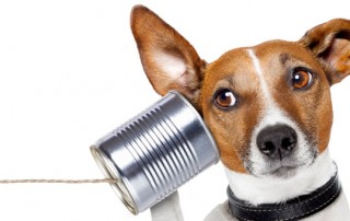 active listening
