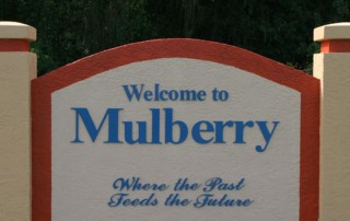 mulberry fl
