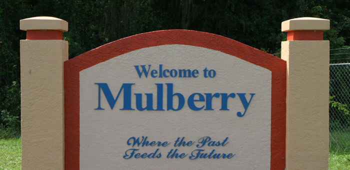 mulberry fl