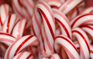 candy cane fun facts