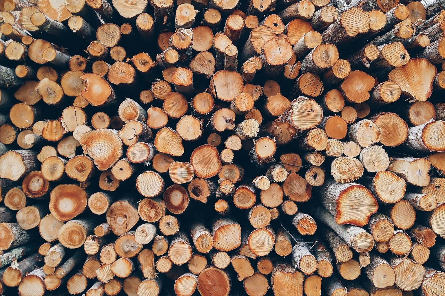 701+ Catchy Firewood Business Name Ideas That Ignite Profits