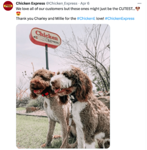 dogs and chicken express