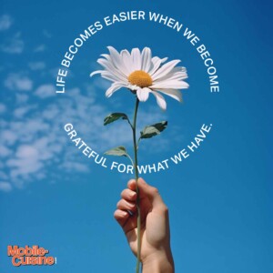 Life becomes easier when we become grateful for what we have.