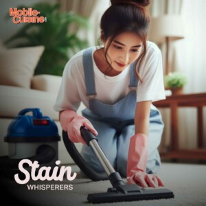 Stain Whisperers