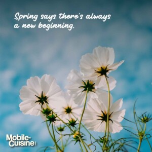 Spring says there’s always a new beginning.