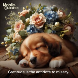 Gratitude is the antidote to misery. 